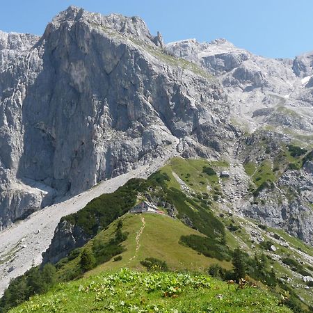 Haus Gradwohl Lejlighed Schladming Eksteriør billede